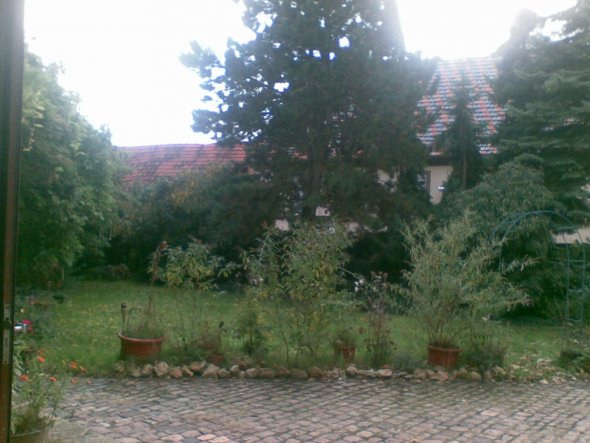 Garten 'Garten'