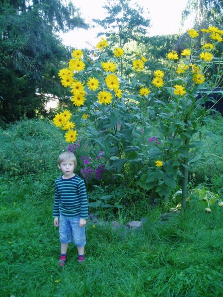 Garten 'Garten'