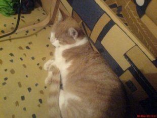 alle Räume 'Mein Raum'