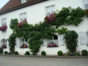 Balkonblumen und die Berge