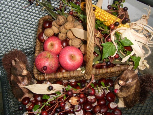 Garten 'Es ist  Herbst'