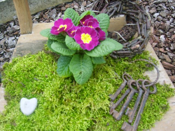 Garten 'Konnte es nicht mehr abwarten, war schon im Garten.'