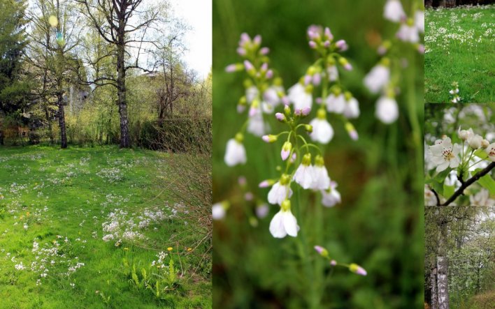 auch im Frühling noch ziemlich verwildert!!