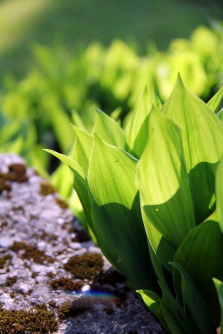 Garten 'Meine Winterbeschäftigung..'