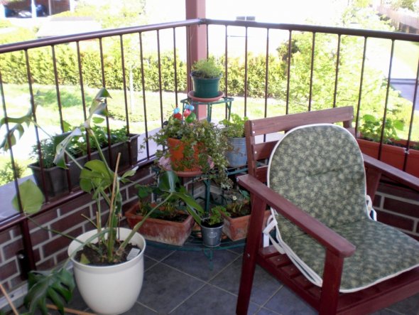 Meine "grüne Ecke" auf dem Balkon mit einigen Blumen, Erdbeeren und Kräutern.