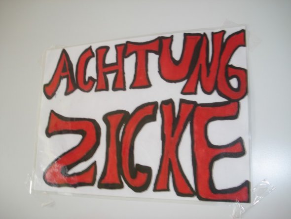 Kinderzimmer 'Zickenraum'