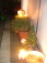 Garten 'Mein Garten bei Nacht'