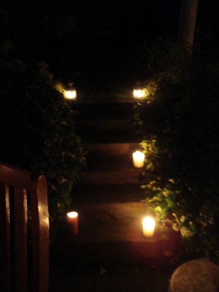 Garten 'Mein Garten bei Nacht'