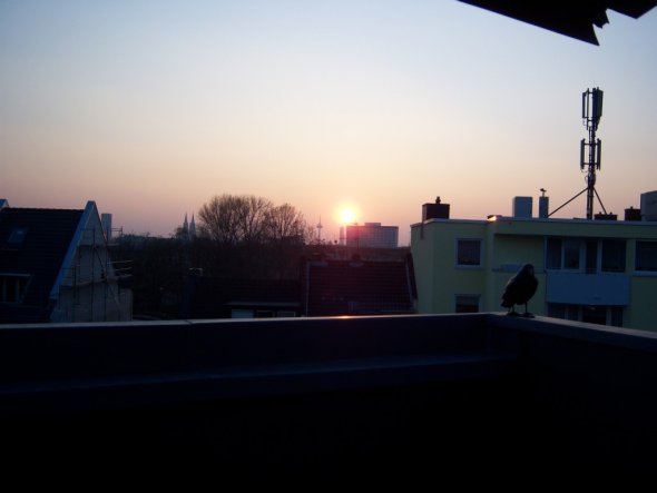 Terrasse / Balkon 'Dachterasse'