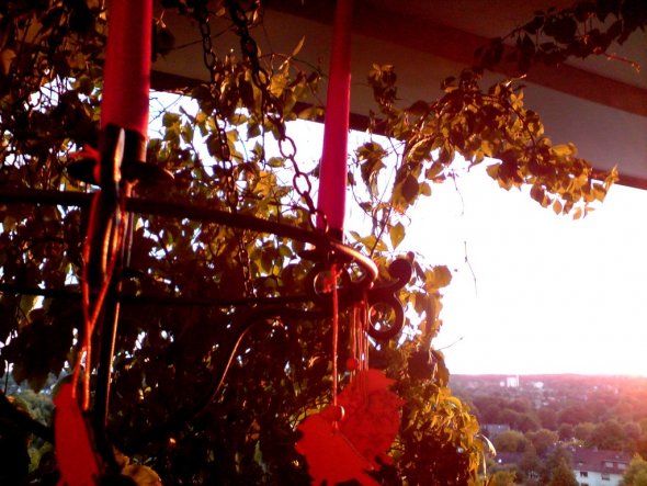 Kleinere Wohnung, leider auch kleinerer Balkon. Hier mit Sonnenuntergang :-)