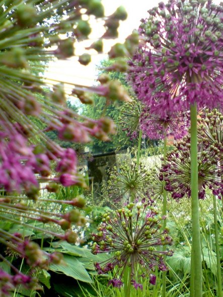 Garten 'Wie die Tage macht der Frühling...'