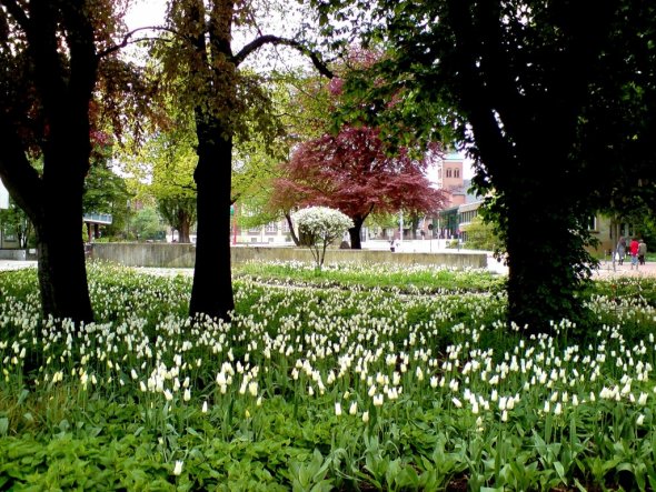 Garten 'Wie die Tage macht der Frühling...'