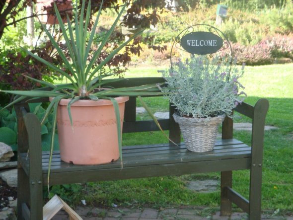 Terrasse / Balkon 'Unsere Oase'