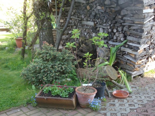 Terrasse / Balkon 'Unsere Oase'