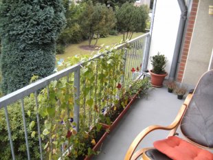 Wohnzimmer 'Gemütlich'