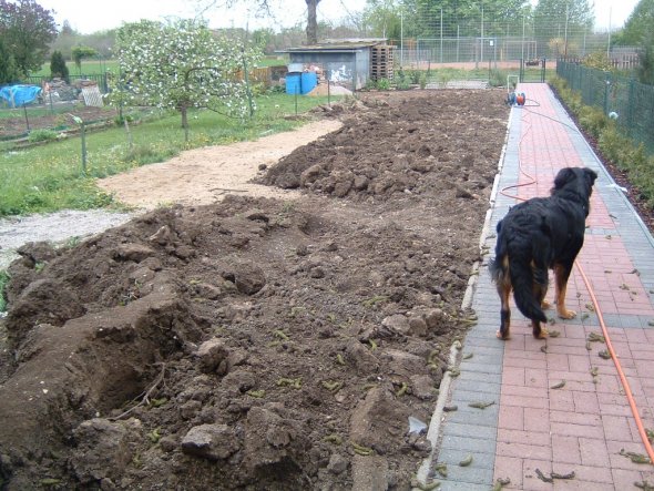 die ersten kleinen fortschritte....