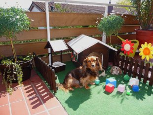 Terrasse / Balkon 'Balkon und Vorgarten'