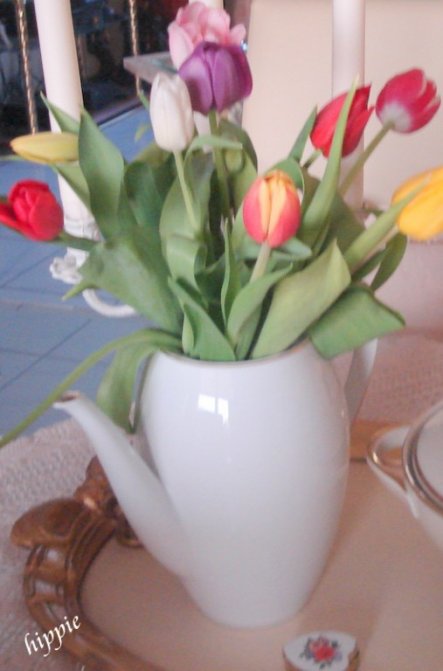 Die Tulpen hat meine Tocter mir vor 8 TAGEN geschenkt....sehen immer noch frisch aus:-))))