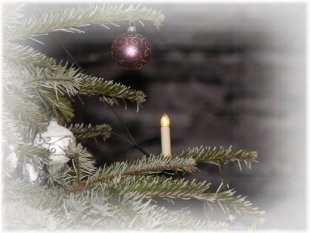 Es weihnachtet sehr 2010