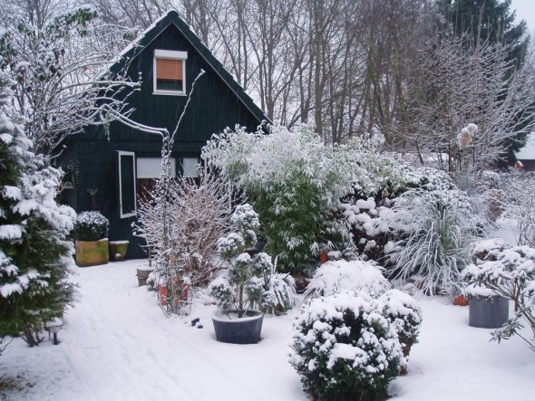 Weiße Winterwelt - auch 2010 unübertrefflich.... Frohe Weihnachten allen die diese Bilder anschauen ....