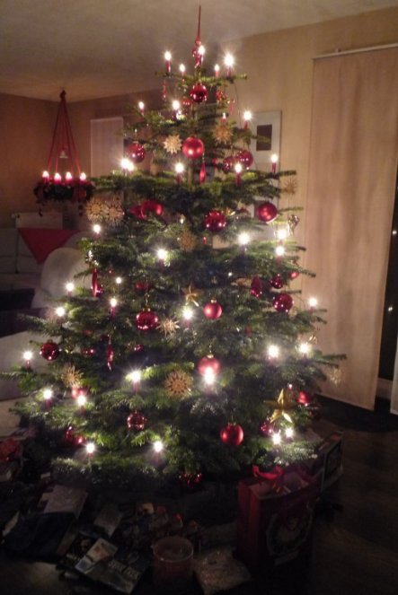 Weihnachtsdeko 'Weihnachten 2009'