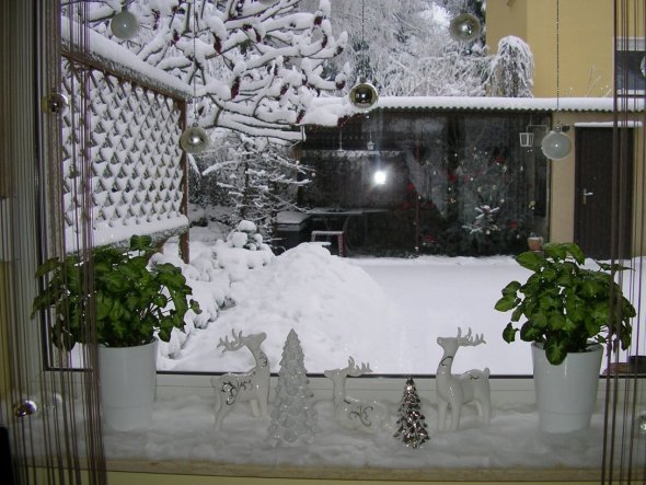 Wohnzimmerfenster 2
Draußen unter dem Rankgitter habe ich viele Tannenzweige und dazwischen eine Lichterkette.  Durch den vielen Schnee sieht m