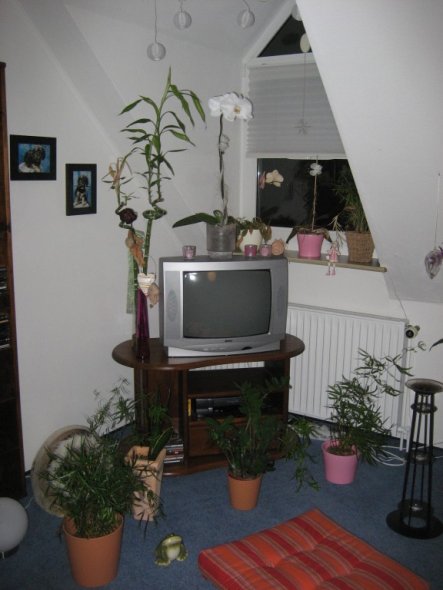 Wohnzimmer 'Mein Wohnzimmer'