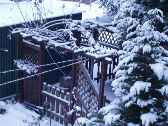 Garten 'Der Winter und seine Gäste'