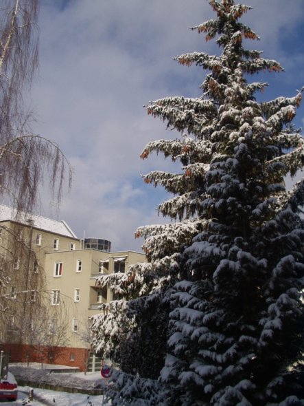 Garten 'Der Winter und seine Gäste'