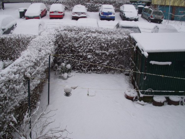 Garten 'Der Winter und seine Gäste'