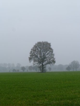 Hausfassade / Außenansichten 'Landleben'