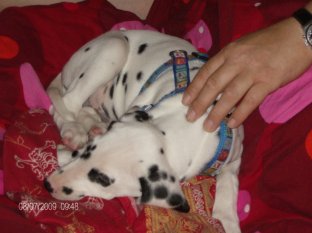 alle Räume 'Mein Raum'