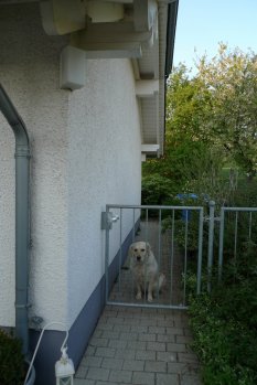 Unser Wachhund