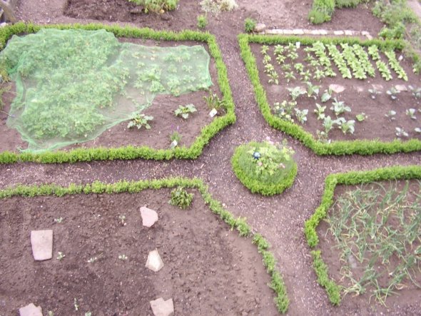 So sah mein Garten noch vor ca 4-5 Jahren aus.