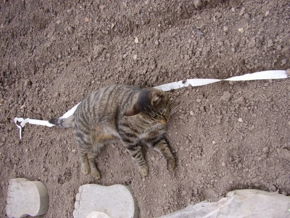 Gartenarbeit macht mich fix und fertig