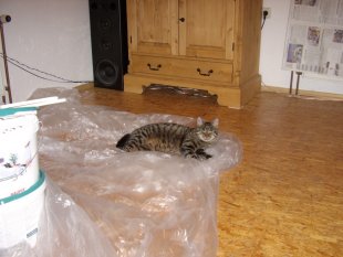 Kater Mikesch