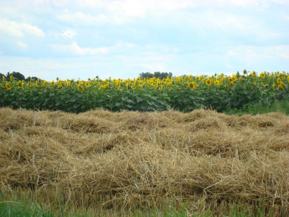 Deko 'romantisch Wohnen'