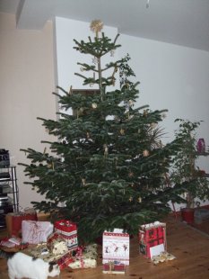 Weihnachten 2009