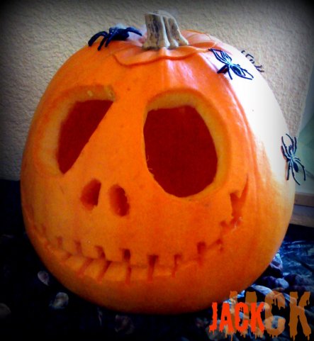 unser Jack :-))