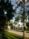Hausfassade / Außenansichten 'Boca Raton - Umgebung'