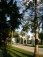 Hausfassade / Außenansichten 'Boca Raton - Umgebung'
