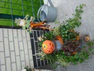 Herbstfundstücke