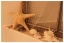Bad '★ Badezimmer '