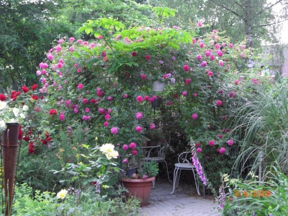 Terrasse / Balkon 'Mein Garten'