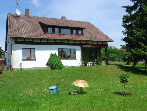 Blick auf die Terasse, davor der noch "wilde" Garten
