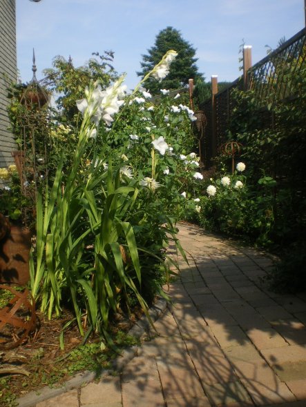 Garten 'Der Weg in unser kleines Paradies'