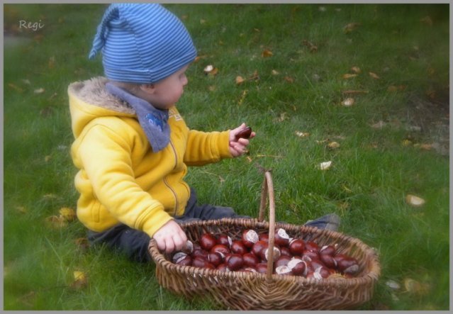 Deko 'Herbst  2010'