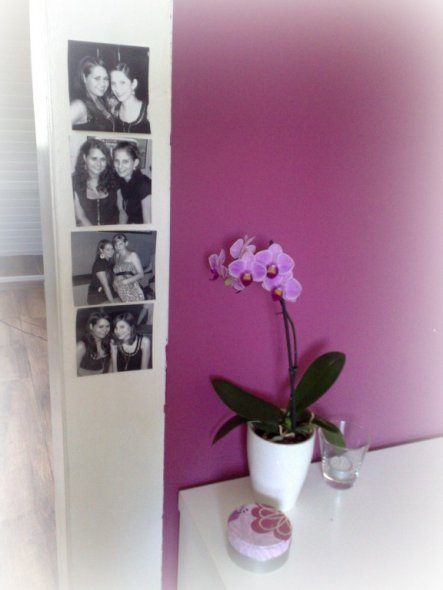 Bilder meiner besten Freundin & eine Orchidee von meiner Oma..