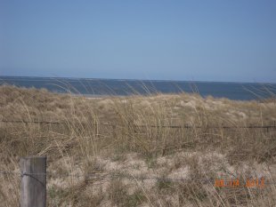 Reif für die Insel,Küche,Konfi,Tiere