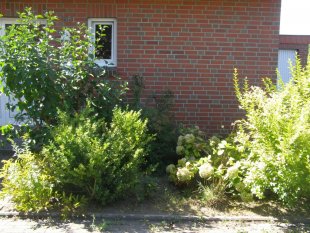 Der Vorgarten - Vorher